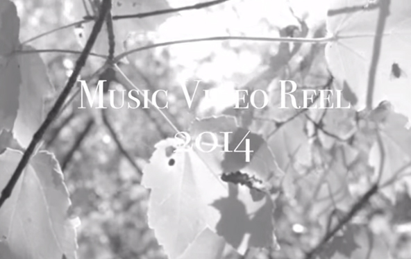 '2014 Music Video Reel', by Michele McGovern